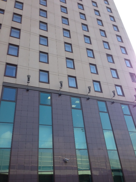 Сама гостиница Holiday Inn